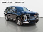 2025 Cadillac Escalade Premium Luxury Platinum