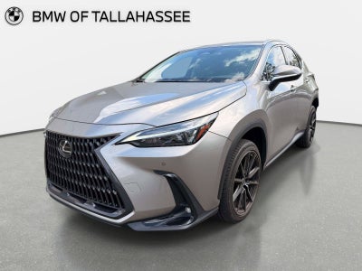 2023 Lexus NX 350 Premium