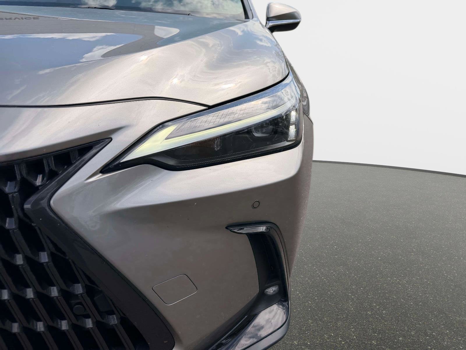 2023 Lexus NX 350 Premium