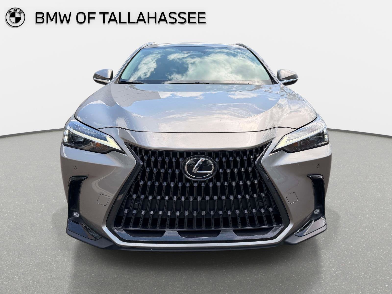 2023 Lexus NX 350 Premium