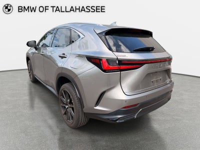 2023 Lexus NX 350 Premium